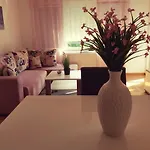 Dijana * 巴尼西卢卡