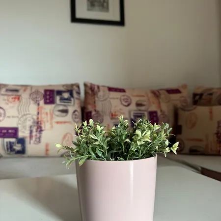 Dijana * بانيا لوكا